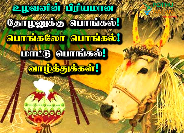 6101978R's tweet photo. விவசாயத்தின் தோழனாய், உழவனின் தொண்டனாய், வீரத்தின் அடையாளமாய் விளங்கும் மாடுகளுக்கு நன்றி செலுத்துவோம்...
இனிய மாட்டு பொங்கல் வாழ்த்துக்கள்...
@urlove_aru1 @gokul8594 @KS64263334 @UdhayaK42450356 https://t.co/5p2AlWV8So