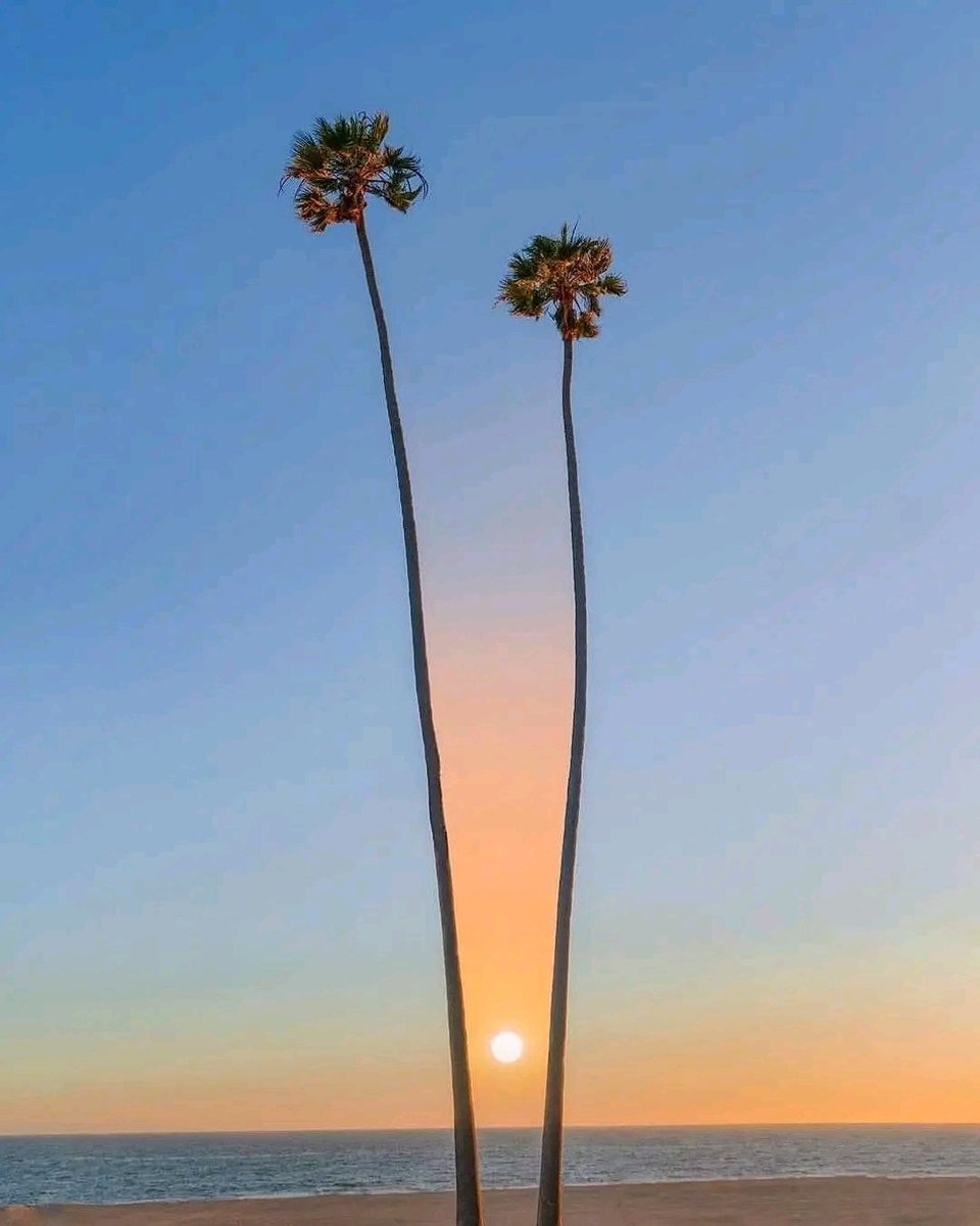 ScenicBeauti's tweet photo. #amazing click as Sun breaking down from the #sea
#goodmorning everyone.
#sunrise
#sunrisephotography
#landscape
#landscapephotography
#landscapecapture
#discover
#discoverearth
#outdoor
#outdoorphotography
#NatureBeautiful
#NaturePhotography
#nature
#Travel
#travelphotography
#traveler
#beach
#BeachLife #BeachVibes #beaches #explorepage #ExploreMore #explore