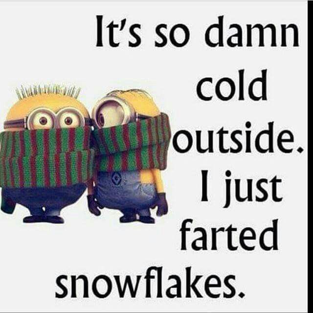 Dale Bergeron (@bergeron_dale) on Twitter photo 