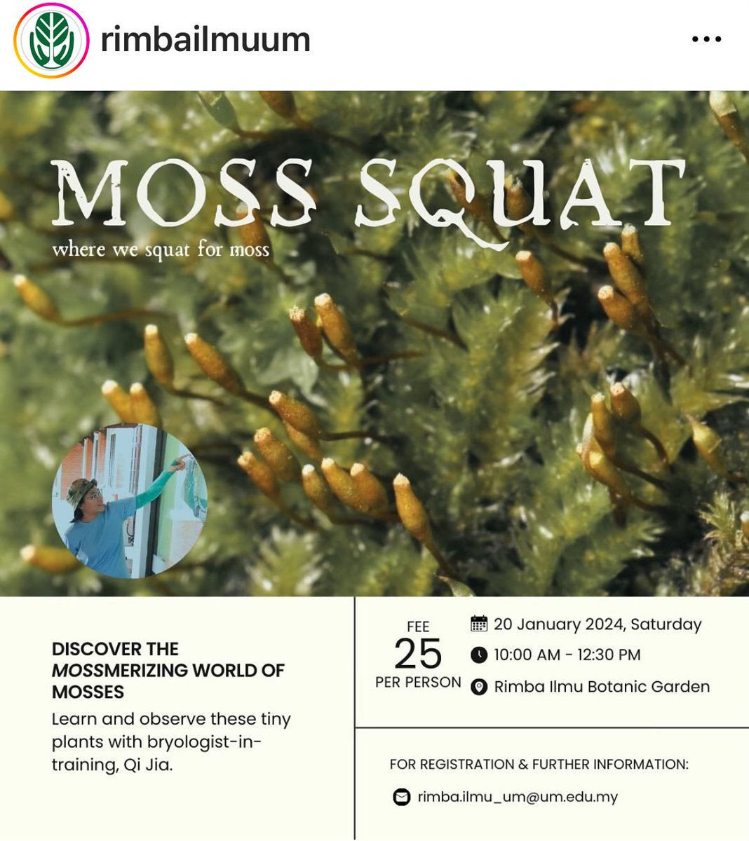 macarangatweets's tweet photo. Squatting for moss … great title! 

Register: https://t.co/ruUANxGAiy https://t.co/h6Ex2rZ9fw
