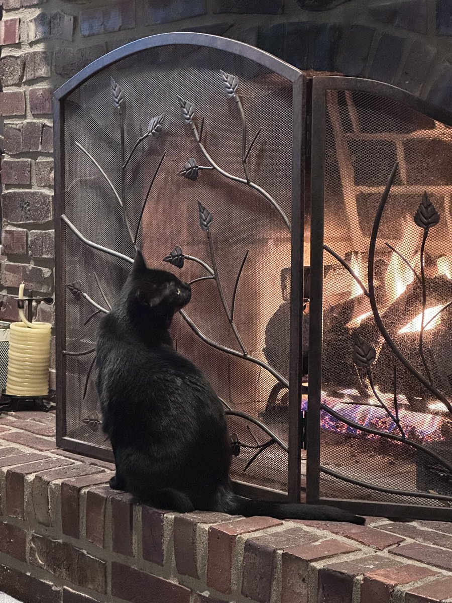 allyncrowe's tweet photo. Raven has decided this is the best seat in the house.
#VoidCats #BlackCats #ItsFuckingColdOutside https://t.co/kd7eadFfiJ