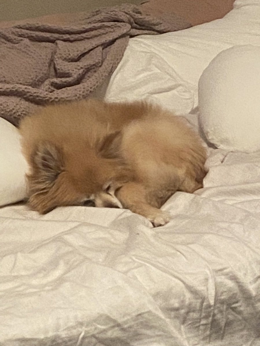 BeyonceTasi's tweet photo. Anyone else’s mom take endless pictures of you sleeping or is it just me? https://t.co/MAQ34HBueT