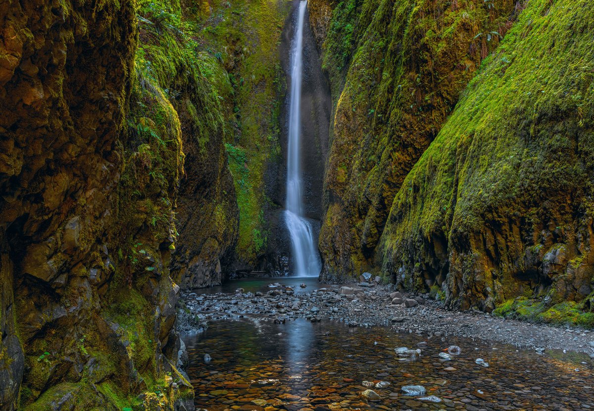 The Columbia River Gorge has always been a location where the raw power and tranquility of nature coexist. On this journey, the goal was to capture the gorge showcasing both an intimate and majestic view. #nature #photography #oregon lik.com/products/emera…