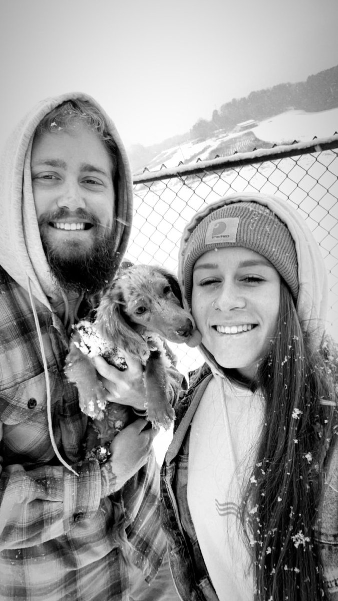 hannahfine_'s tweet photo. minnows first snow!! ❄️ https://t.co/ukQ7iPYKyT