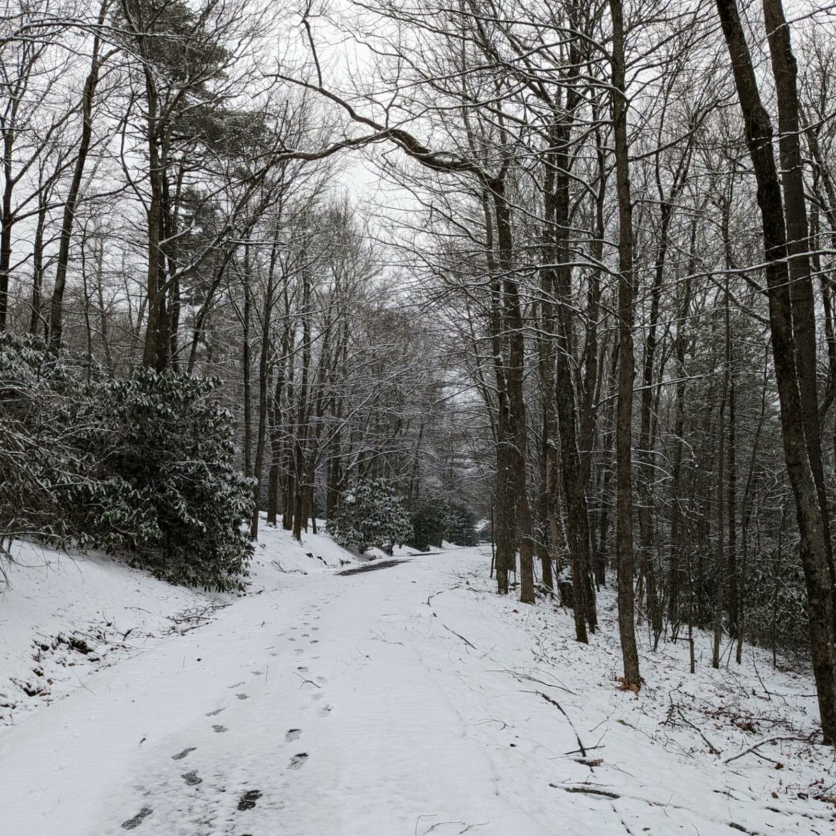 Jamie Hickman Wilson tweet media