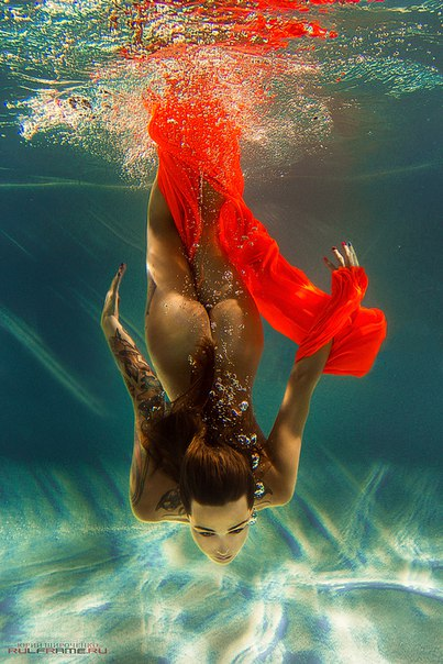 Diana_Lucia tweet media
