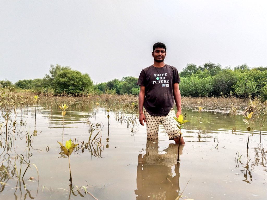 Planting hope, one mangrove at a time..🌿

Every mangrove planted contributes to a greener, more resilient future.🌀🚣‍♂️

This morning's site visit, part of the plantation done a few weeks ago with @BakulFoundation.

#MangroveResilience #OdishaCoast #CommunityAction #SaveMangroves