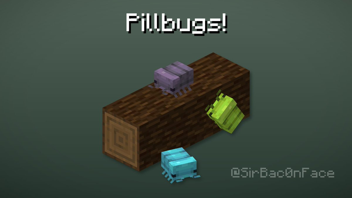 SirBac0nFace's tweet photo. Some sillies I made back in November, they'd spawn in giant tree taigas and come in a variety of colors. #Minecraft https://t.co/TFQ4MTHNSS