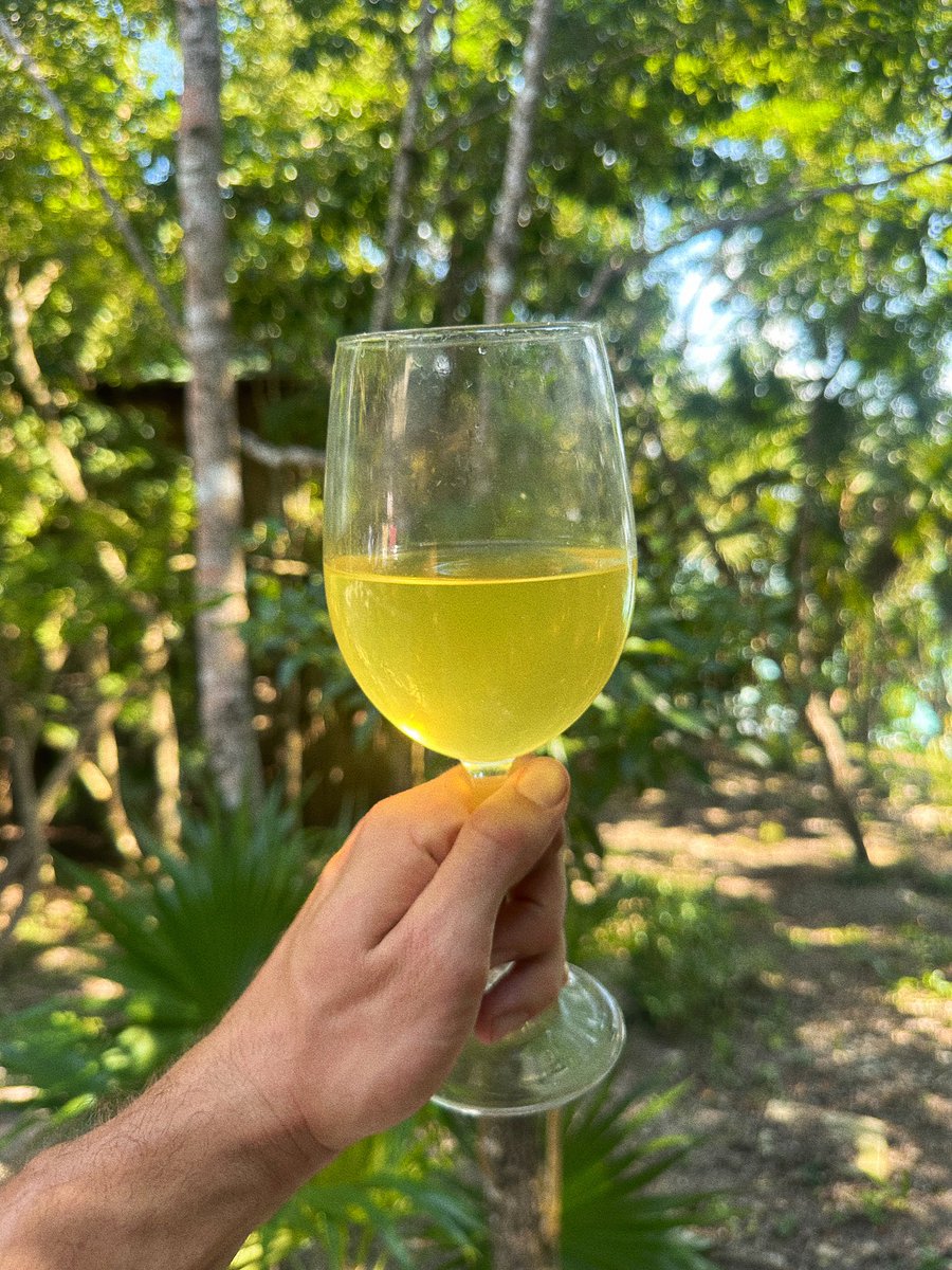 SolBrah's tweet photo. you know you can just put raw honey and salt into water and make the most elite rehydrating soft drink https://t.co/hKgrNZG30I