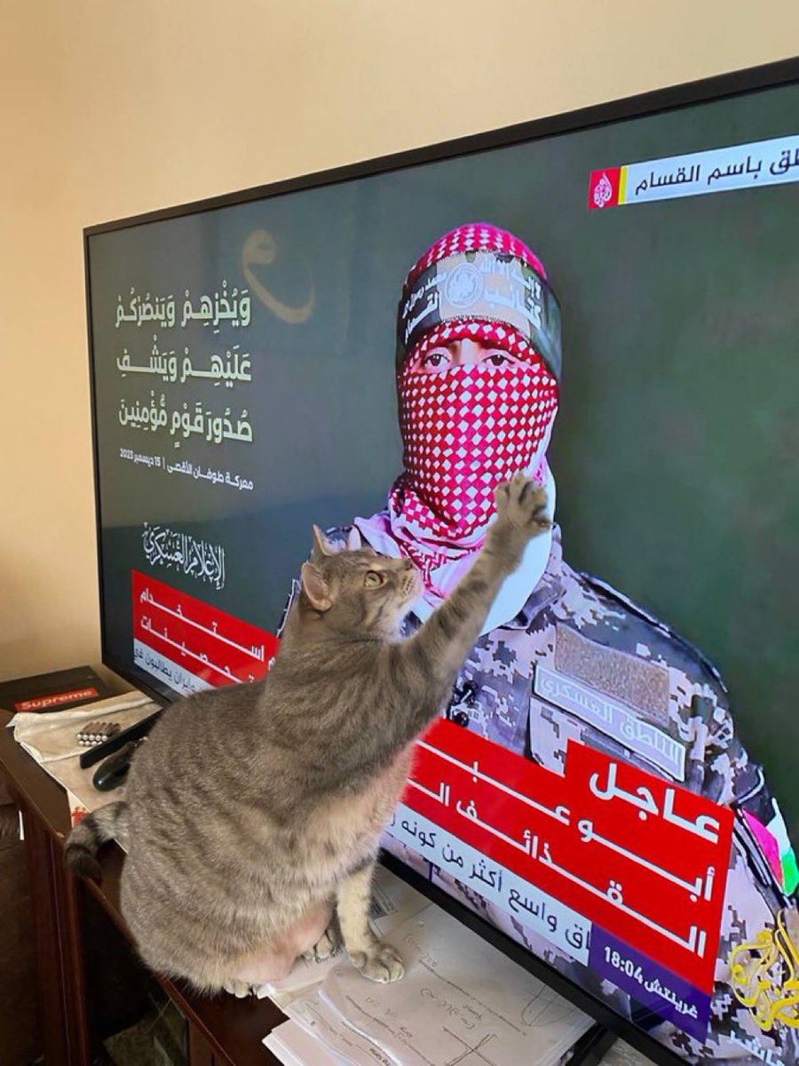 الكل يحبك يا أبا عبيدة
#فلسطين_قضيتنا #ابو_عبيدة