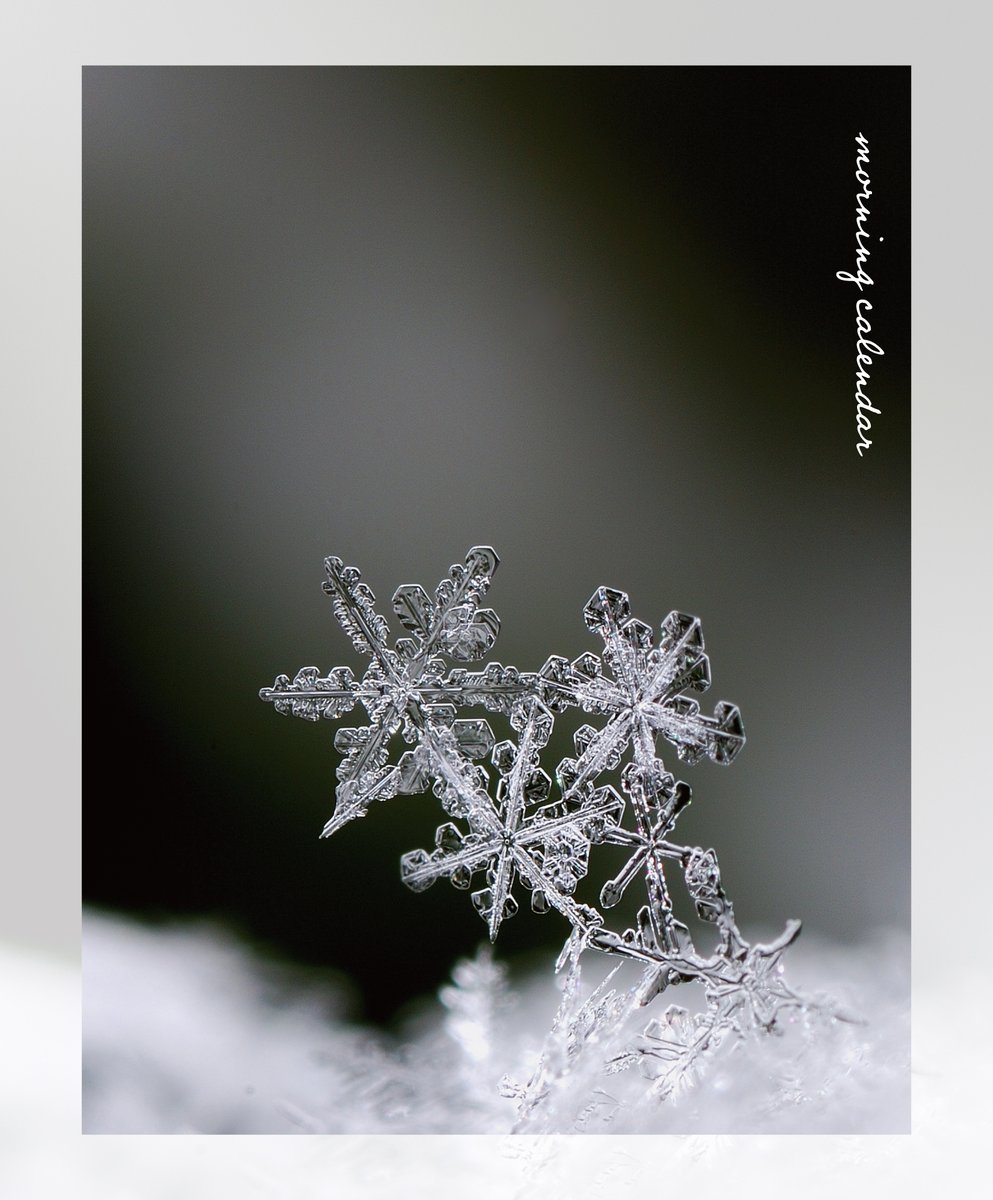 543life's tweet photo. 1/19【六つの花（むつのはな）】｜#朝の日めくり

"雪のこと。雪の形が六片の花のように見えることから。真っ白な花の意で「雪華」とも。雪の中でも咲く透明な花。"
和語・古性のち（コラム二スト）

▼暦生活のWEBサイトはこちら
https://t.co/hv9NlcQxdm https://t.co/88fcKg5cRo