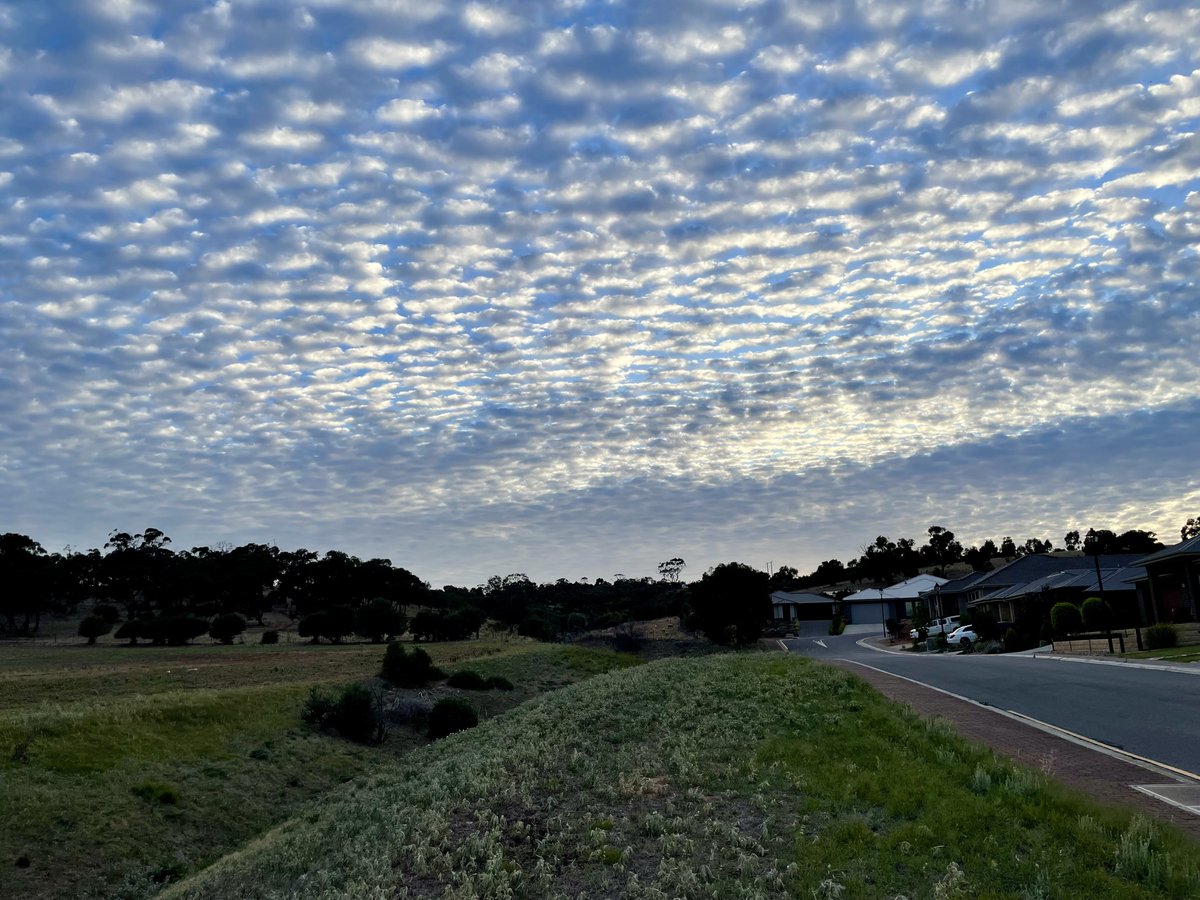 10k early Tuesday morning sweaty run. Really warm morning with an overnight minimum temp of 24C/75F. Enjoyed it & ran well. Clouds looked great today. ☁️ How is your running going so far to start the week? Run well, run happy. #running #runchat