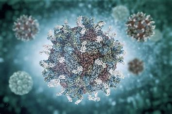 nycliusa's tweet photo. Breaking Disease X is Exposed ‼️ ‼️:
Now Let Me Expose the Secret Disease X of Davos and WHO. Gates-Funded World Mosquito Program Engages in Gain-of-Function Research supports The World Mosquito Program (WMP) is a not-for-profit group of companies owned by Monash University. The world’s largest mosquito factory in Medellín, Colombia — which is part of the World Mosquito Program —Owned by Bill and Melinda Gates making mosquitos infected with Dengue Fever and now they enhanced the level lethality of Dengue Which is the Disease X, and those Mosquitos are getting releases “thousands” of altered mosquitoes per week using gelatin capsules, drones and Chemtrails and tested using Dynamic Mosquito Simulation Model (DyMSiM) was created using STELLA 9.02 software. Now New NOVEL DENGUE VIRUS will kill Billions and can be modified according to the genetics of different nationalities as some will be killed other bad sick and some nothing.