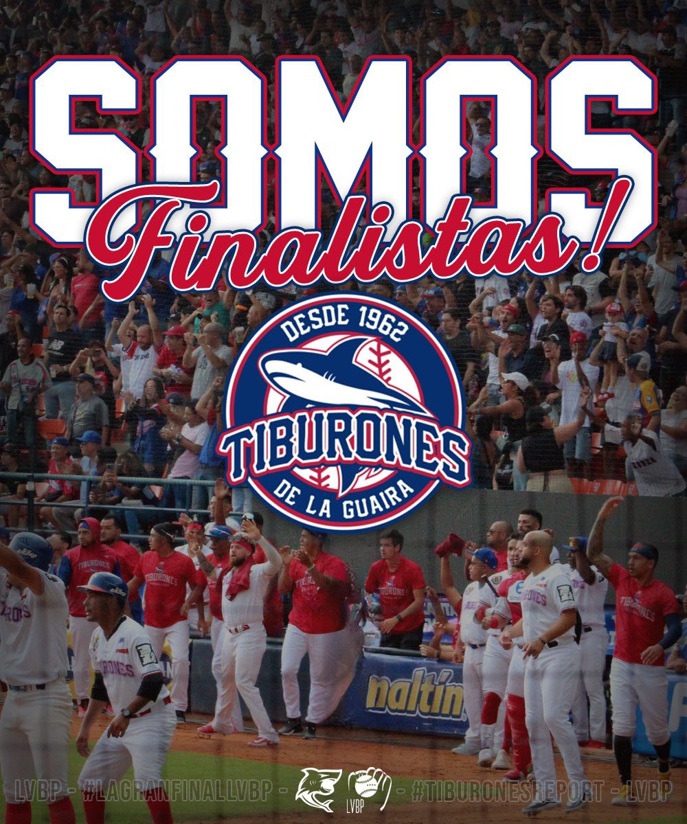 TiburonesReport tweet picture