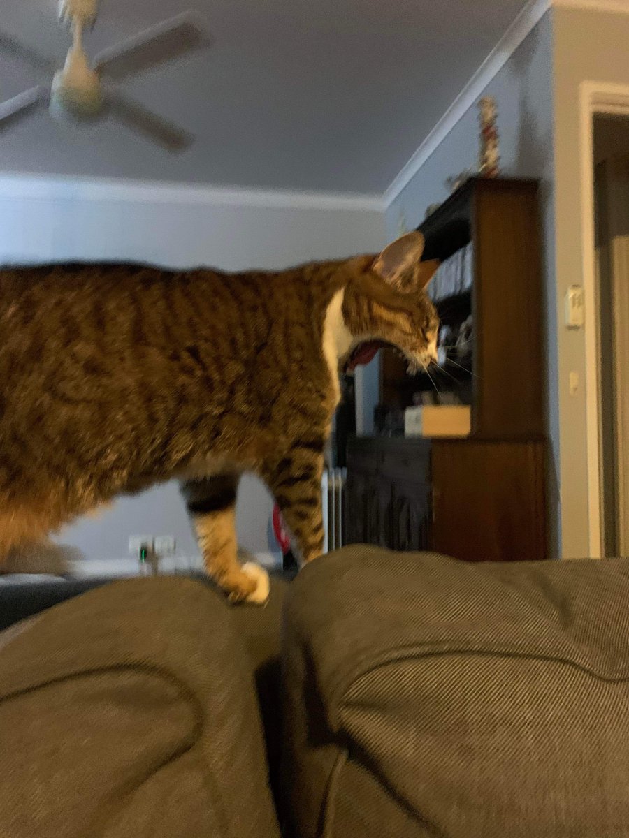 freearipilled's tweet photo. He needs help https://t.co/9LyvfpMqiy