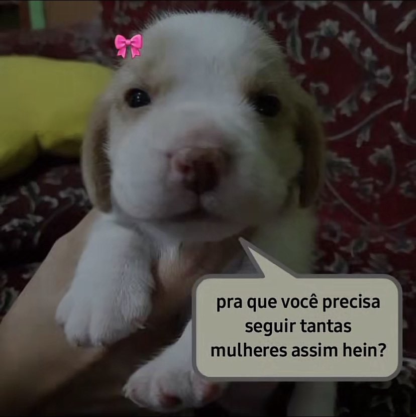 yutteca's tweet photo. https://t.co/gNpnssTeu7