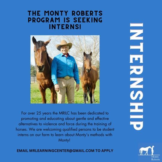 Monty Roberts is seeking interns! The interns assist Monty with ground-based training of the MRTHP horses to gain hands-on experience, join in the learning (for free) when there are classes, and one-on-one training time too. Email: mrlearningcenter@gmail.com