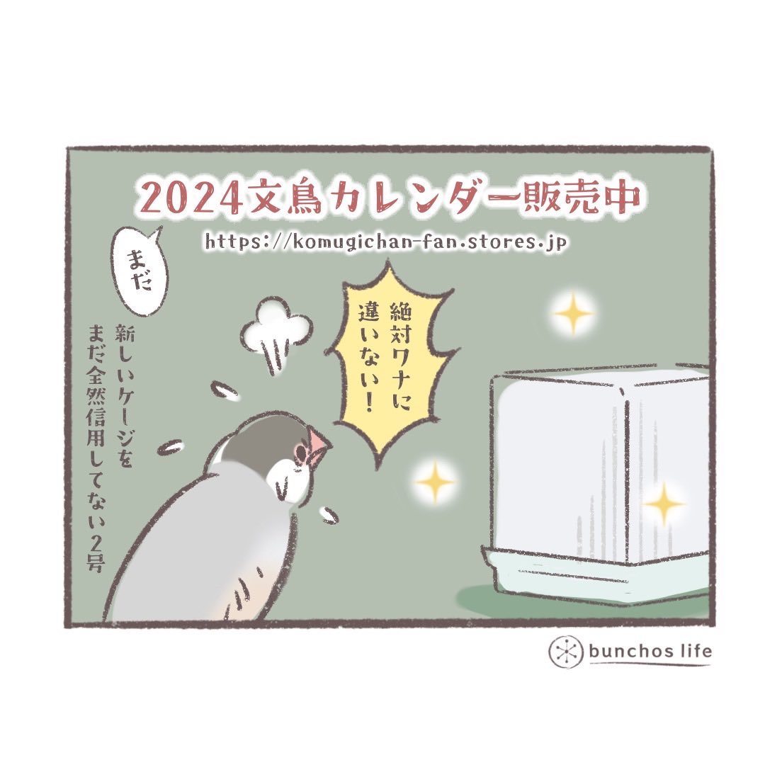 ð¿2024幎ã«ã¬ã³ããŒè²©å£²äž!Amazonãæ¥œå€©ãµã€ãã¯åºå®ãã€ãŒãããã©ããâš
âââ
https://t.co/Vpu1kC6fSL