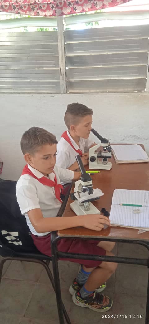 Educacabig's tweet photo. Desde #CabaiguánEduca un reconocimiento a los educadores que ya trazan el camino de los futuros hombres de ciencias. #SanctiSpíritusEnMarcha #Cuba https://t.co/q1sCUp9Jkz