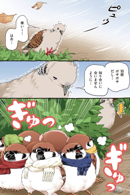 どしたどしたぁ!  #キジバトくん日記 その27