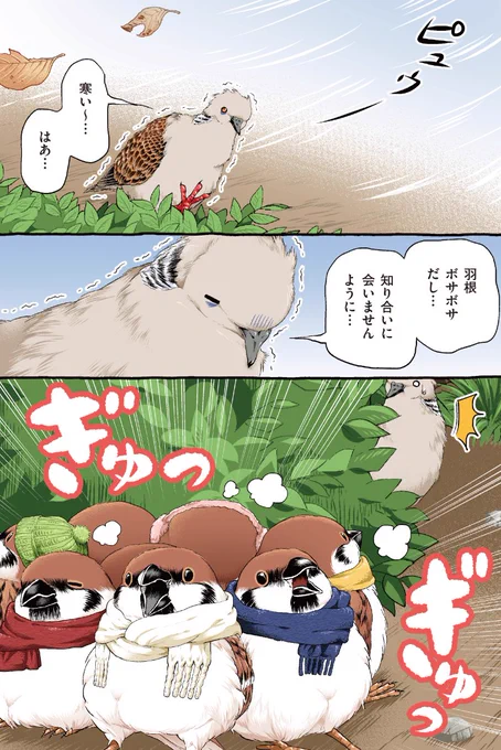 どしたどしたぁ!  #キジバトくん日記 その27