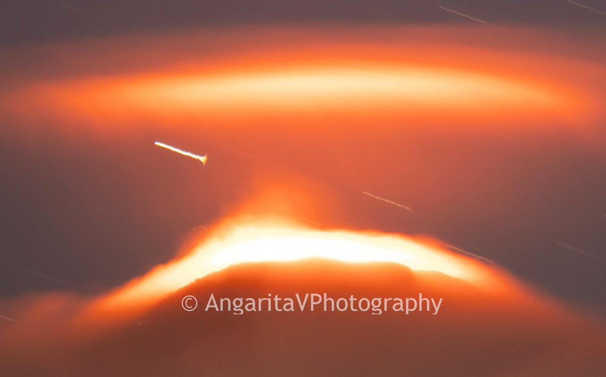 AngaritaVPhotography tweet media