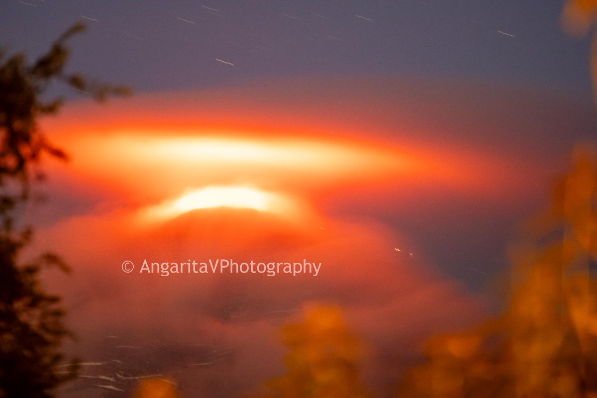 AngaritaVPhotography tweet media