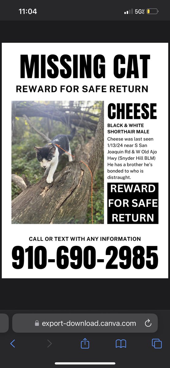 thetrainer20's tweet photo. @whatsuptucson MISSING MALE TUXEDO, last seen 1/13/24 near S San Joaquin Rd &amp; W Old Ajo Hwy (Snyder Hill BLM) REWARD FOR SAFE RETURN https://t.co/Gwhcu9tE6B