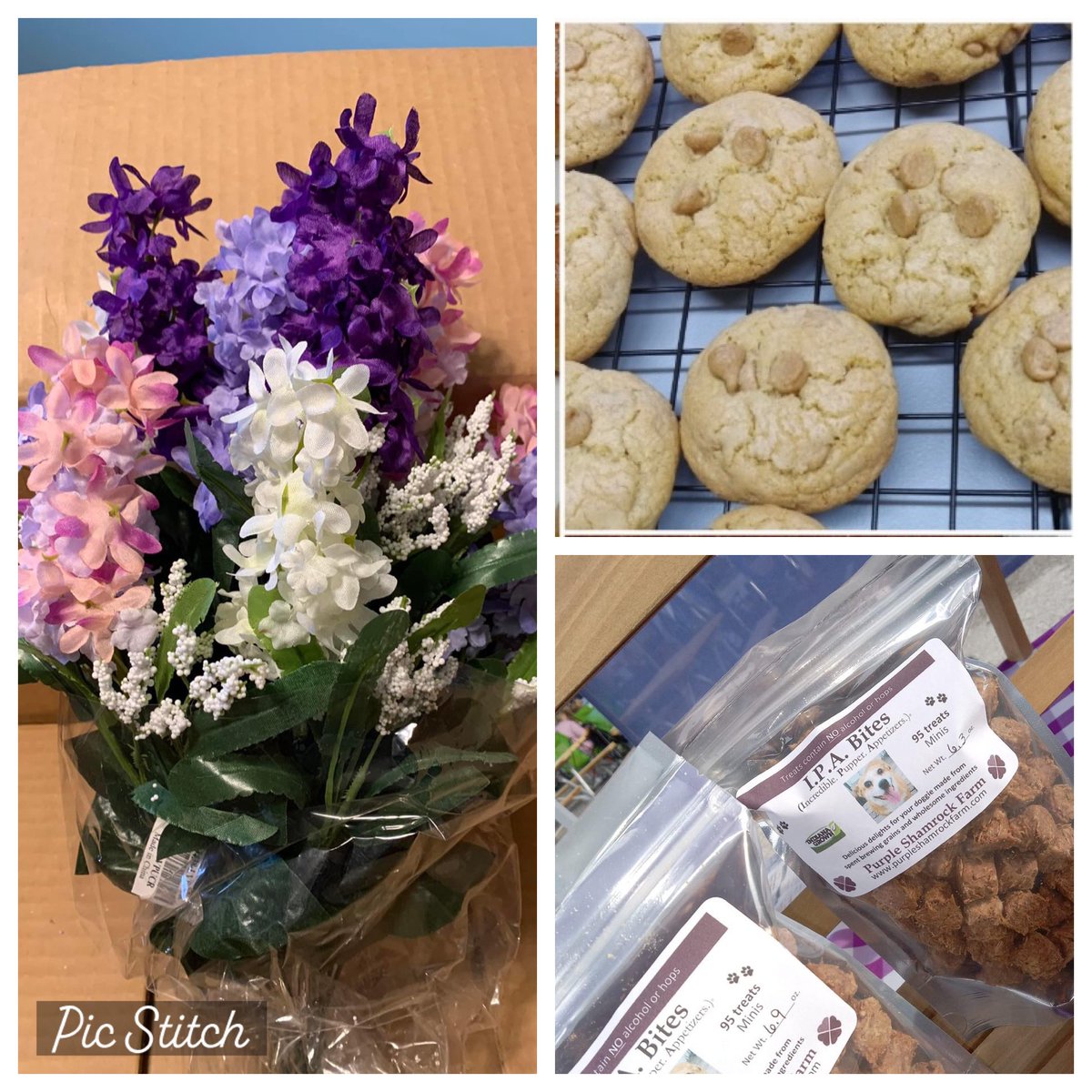 Tuesday, January 16, 2024 3-5pm. Jackson County Visitors Center!