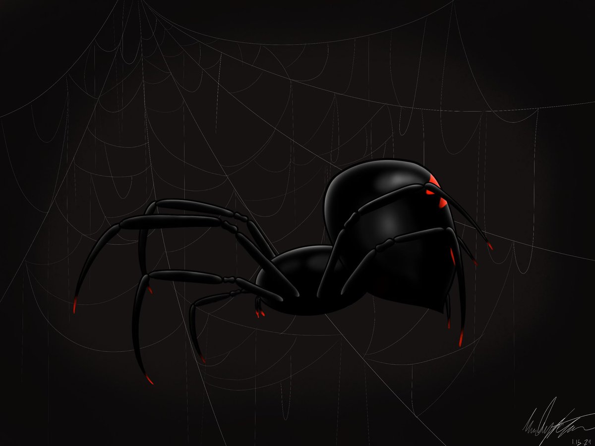educated_loser's tweet photo. have a spider :D https://t.co/wn9DMGVZ5w