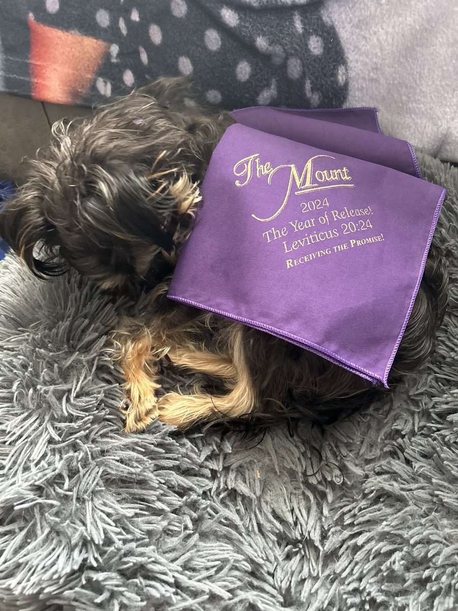 DelisaB927's tweet photo. AriGurl had an upset tummy this morning. Had to pull out my Faith pack. #HealedInJesusName #PrayerCloth #AnointingOil #TMC https://t.co/guFbyx2UmJ