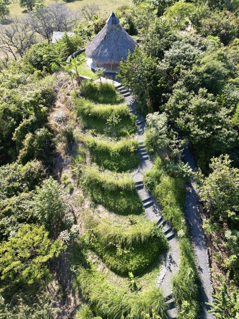 EadenShantay's tweet photo. The Temple Rancho at Loma Sagrada, Garza, Costa Rica. Surrounded by 30 plus species of tropical fruit trees. Vetiver grass used to stabilize the slope with roots that go down 30 feet. 

#sustainable #organic #permaculture #puravida https://t.co/xrRGVE4ksA