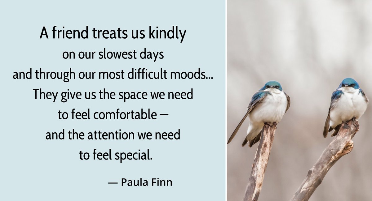 A friend treats us kindly on our slowest days and through our most difficult moods… They give us the space we need to feel comfortable –- and the attention we need to feel special. ~ Paula Finn