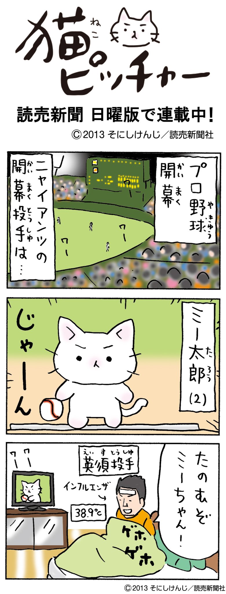 猫ピッチャー　1～18巻　全巻 猫ピッチャー コミックセット[マーケットプレイスセット] | そ