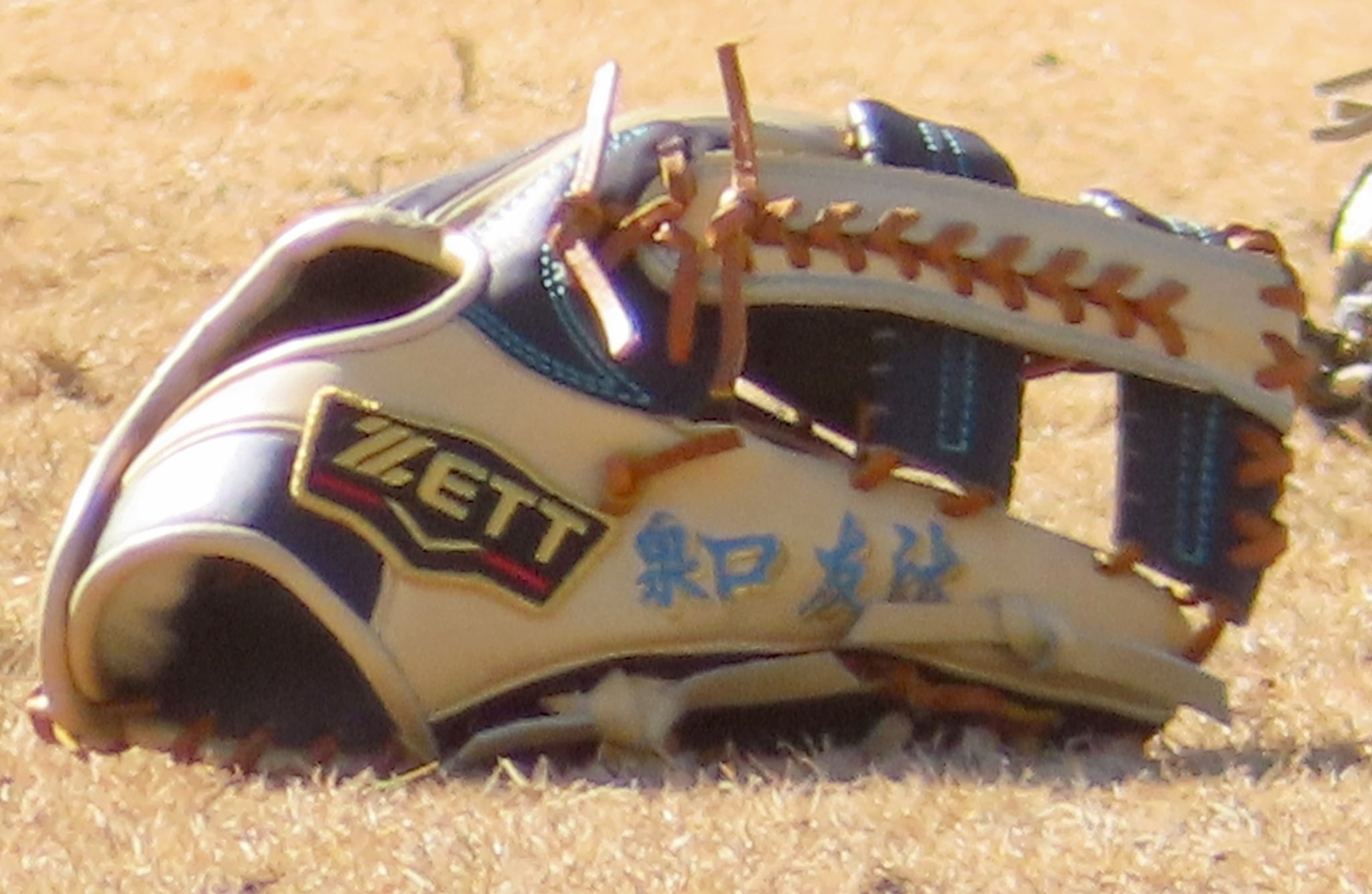 日刊スポーツ 巨人担当 on X: 