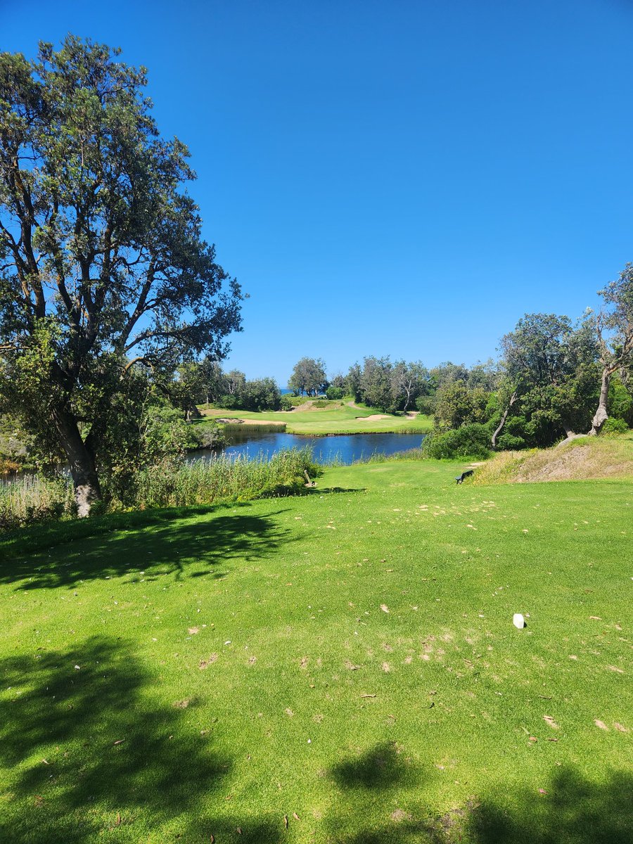 Daniel Harford tweet media