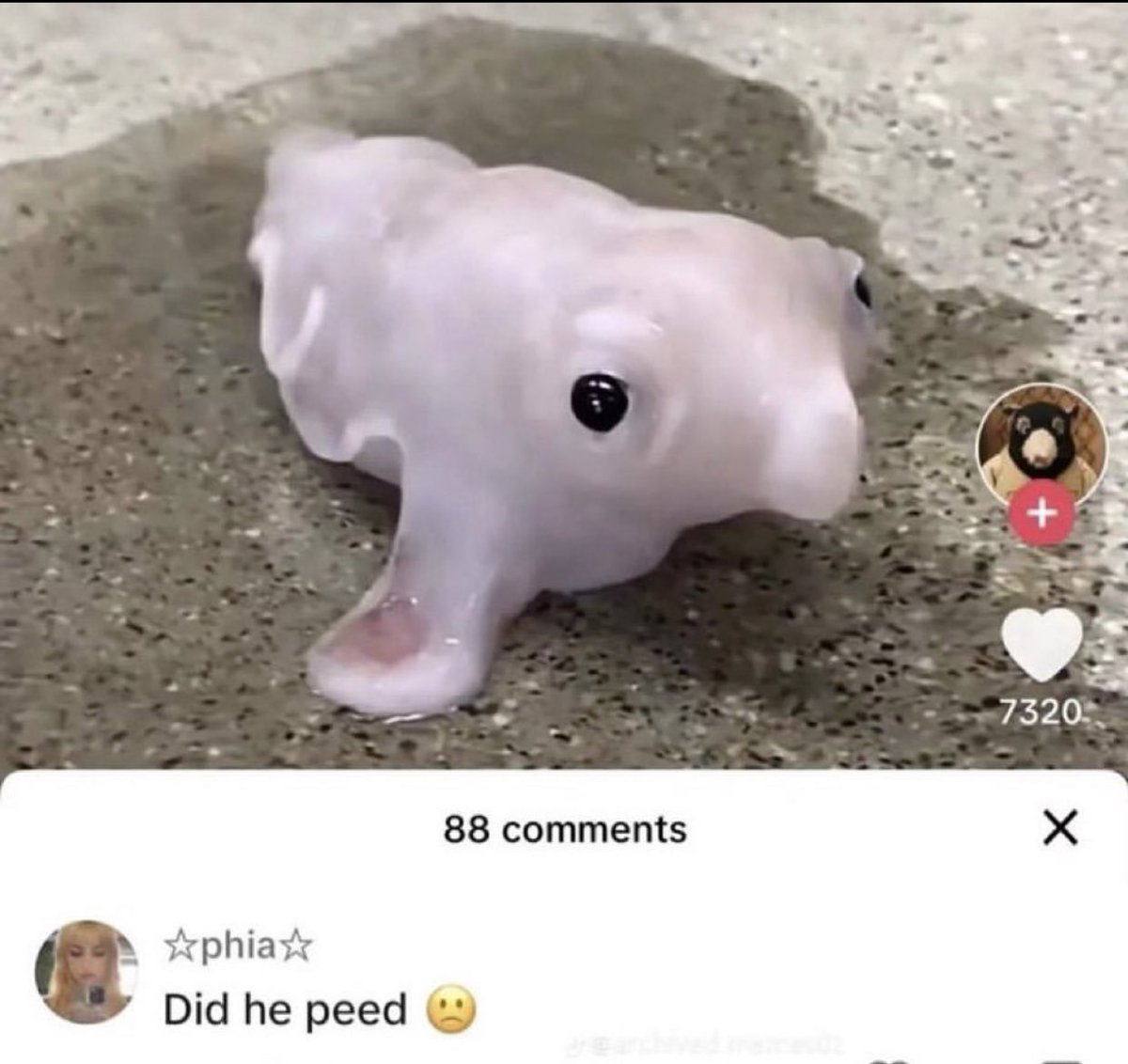 The Notorious J.O.V. tweet media