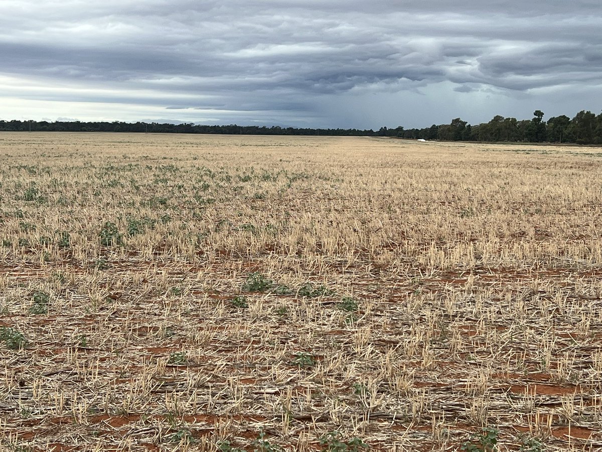 Barry Haskins tweet media