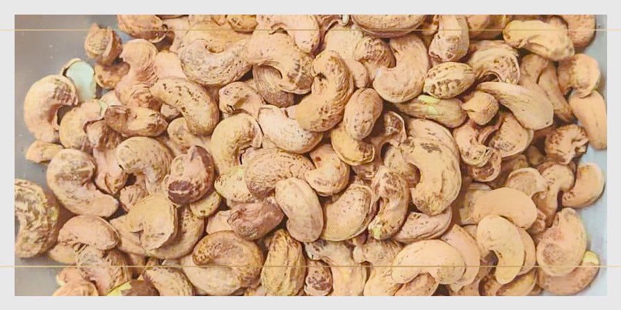 DungTienNguyen4's tweet image. Exciting News from Danielmachine! 
Our latest batch of premium cashews is now available! 🌟 Fresh, crunchy, and packed with flavor, these nuts are perfect for healthy snacking. Get yours today and experience the unique taste of Danielmachine's finest cashews! 
#Danielmachine