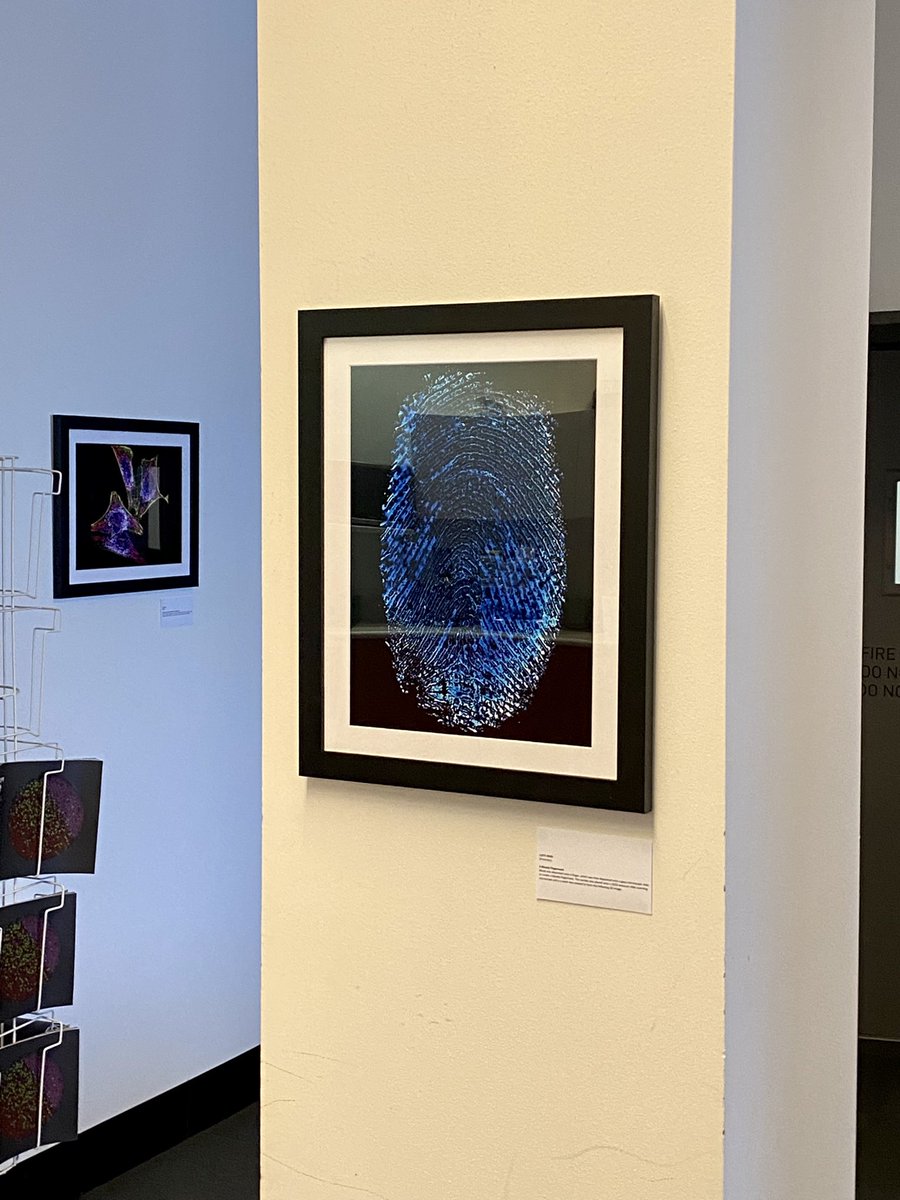 Louise Cole tweet media