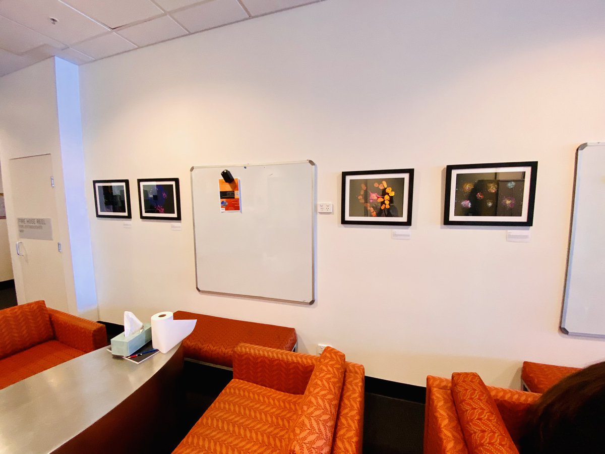 Louise Cole tweet media