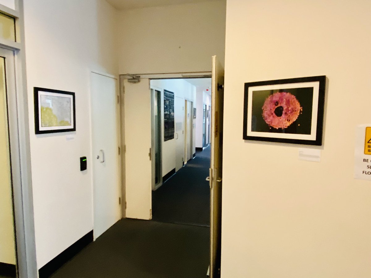 Louise Cole tweet media