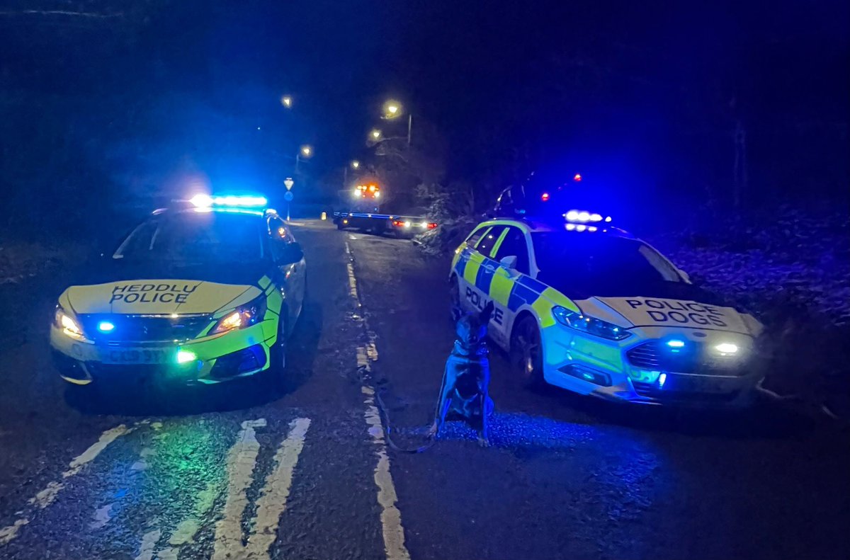 ChNW Police Dogs tweet media