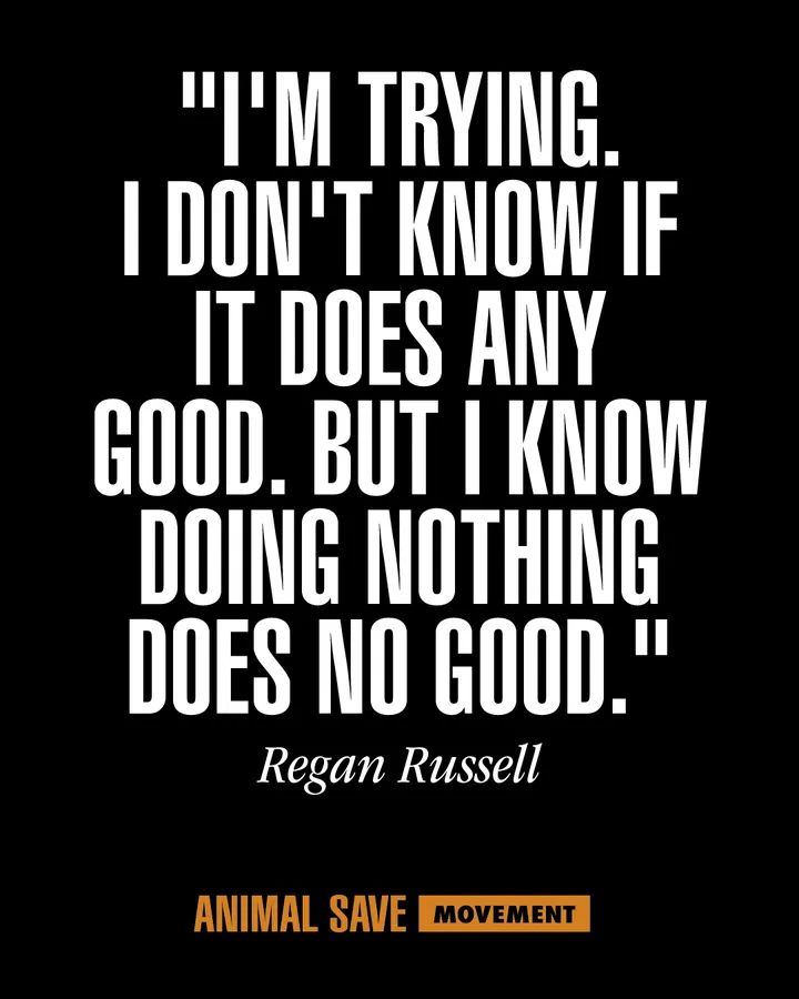 Los Angeles Animal Save tweet media