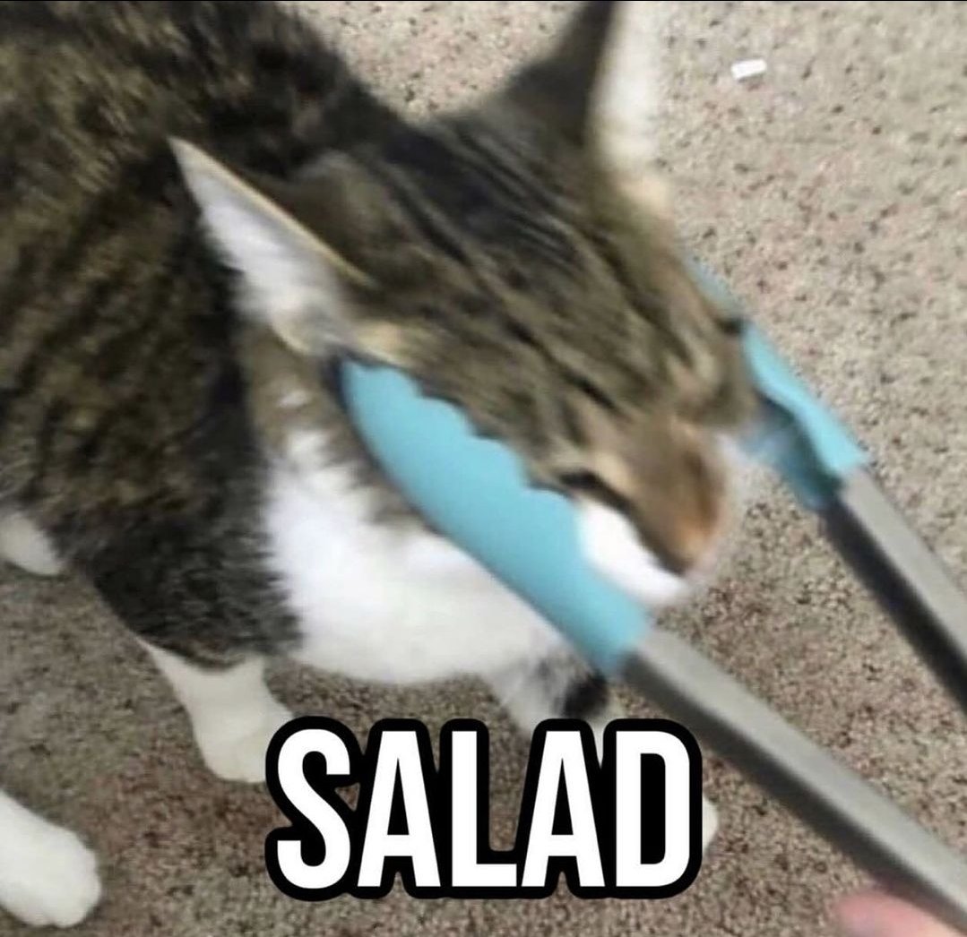 smol silly cat tweet media