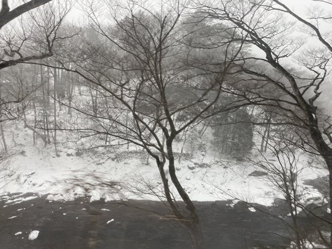 ＞＞＞🌨️大雪🌨️＜＜＜ https://t.co/4PLr6TQusD