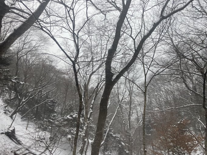 ＞＞＞🌨️大雪🌨️＜＜＜ https://t.co/4PLr6TQusD