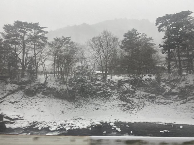 ＞＞＞🌨️大雪🌨️＜＜＜ https://t.co/4PLr6TQusD