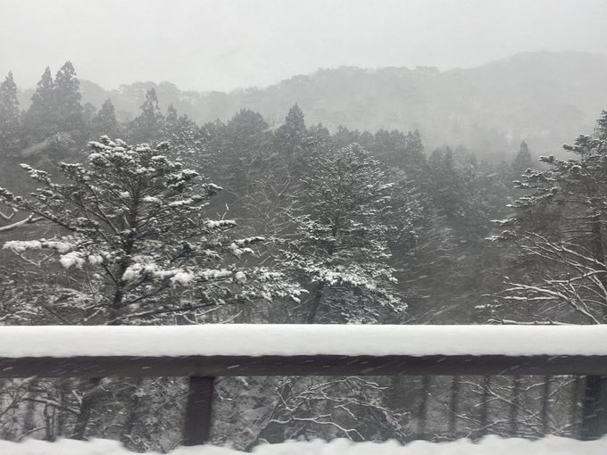 ＞＞＞🌨️大雪🌨️＜＜＜ https://t.co/4PLr6TQusD
