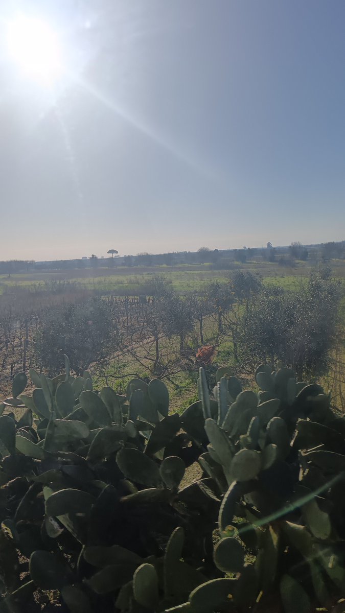 Apulia
